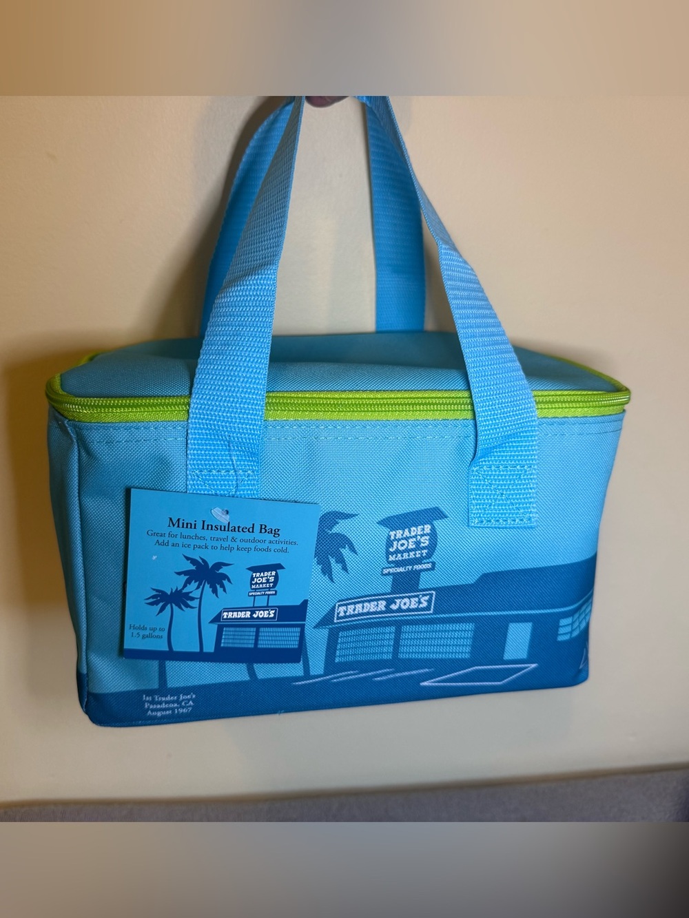Trader Joe's Blue Insulated Mini Tote- with green zipper